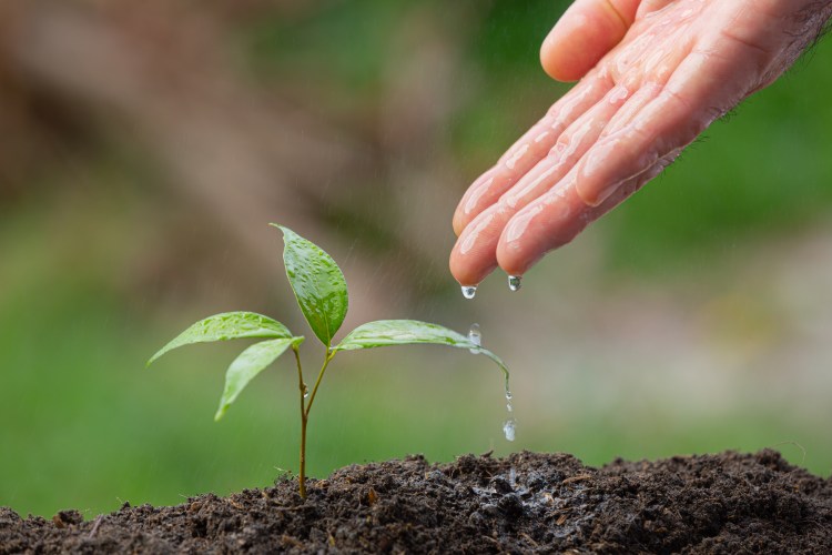 Nurturing rural communities